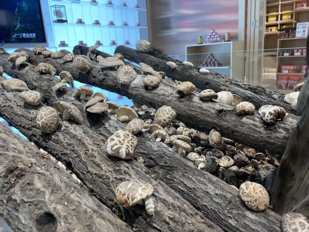 welcometo�Ӵ�����888����(�й�)���޹�˾����