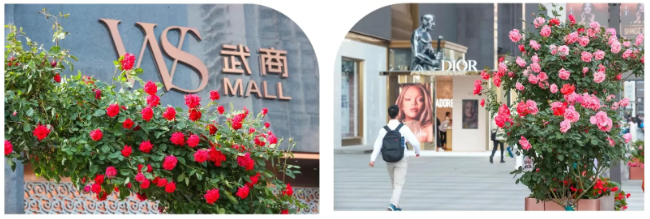 welcometo�Ӵ�����888����(�й�)���޹�˾����