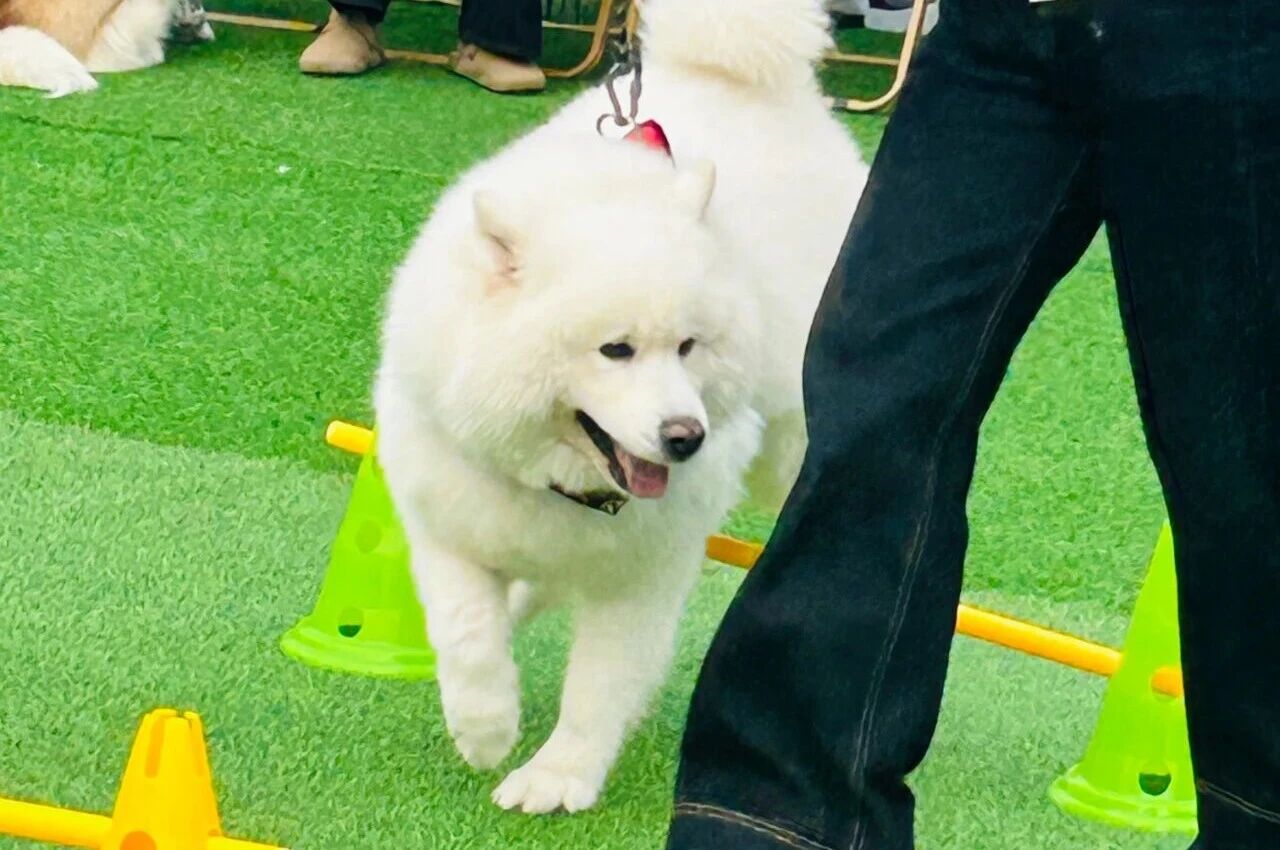 welcometo�Ӵ�����888����(�й�)���޹�˾����