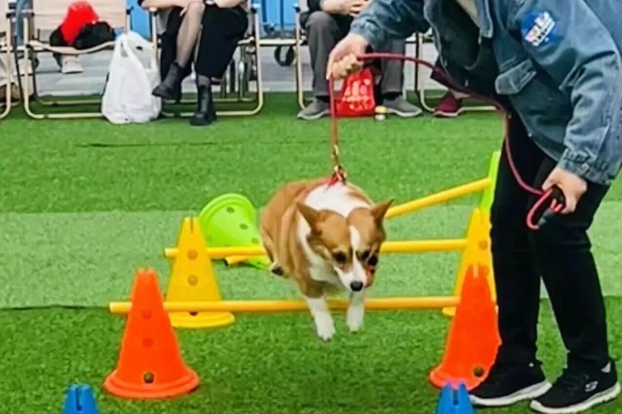 welcometo�Ӵ�����888����(�й�)���޹�˾����