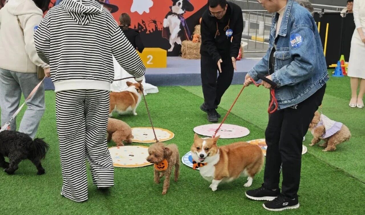 welcometo�Ӵ�����888����(�й�)���޹�˾����