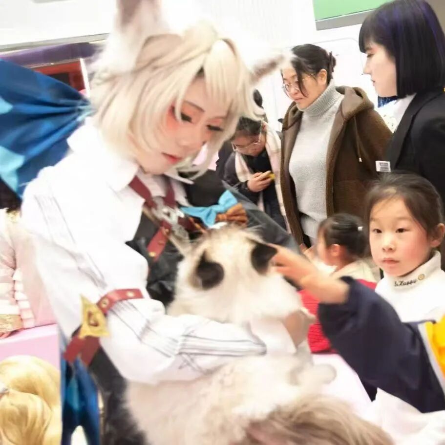 welcometo�Ӵ�����888����(�й�)���޹�˾����